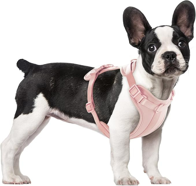 Wisedog No Pull Lightweight Dog Vest Harness with Soft and Comfortable Cushion, Breathable Mesh, ... | Amazon (US)