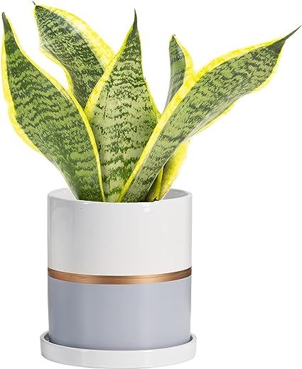 Ekirlin 5 inch Plant Pot - Ceramic Flower Planters Indoor - Modern Succulents Containers with Dra... | Amazon (US)
