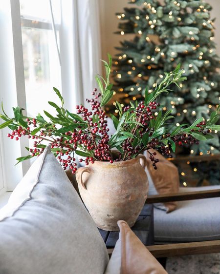 I LOVE the unique look of these berry stems. The are the perfect 🤌🏻 shade of burgundy and are stunning by themselves or are great to mix in with other winter greenery! I used 7 stems in this arrangement. #ltkhome #ltkholiday #ltksalealert #homedecor #christmasdecor #holidaydecor 

#LTKhome #LTKHoliday #LTKsalealert