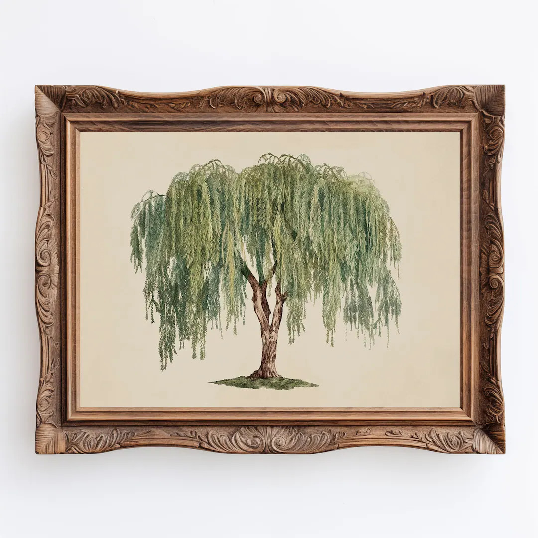 Willow | Antique Willow Tree Wall Art, Minimalist Weeping Willow Botanical Art Print - Etsy | Etsy (US)