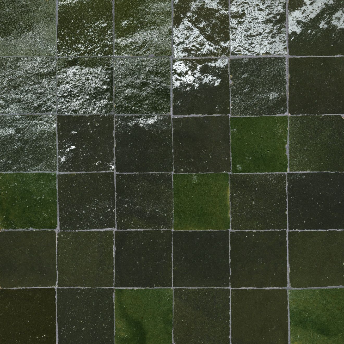 Zagora 2" x 2" Glossy Zellige Mosaic Tile in Vert Mousse | Bedrosians Tile & Stone