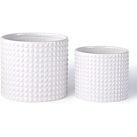 White Ceramic Vintage Style Hobnail Patterned Planter Pots - 6 and 5 Inch Containers with Watering D | Amazon (US)
