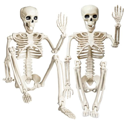 NEROSUN Halloween Skeleton Decorations, 2 Pack 26 Inch Full Body Skeleton with Movable Posable Joints, Human Bones Decorations for Graveyard Indoor Outdoor Decor | Amazon (US)