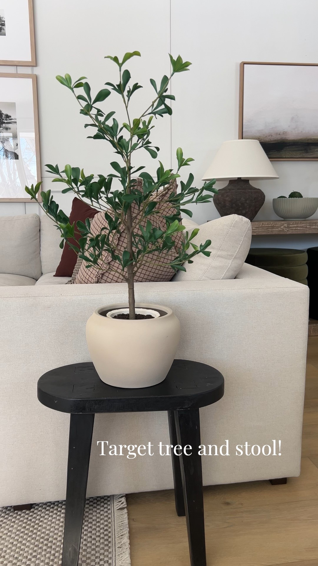 Love this combo from target! 

#LTKSeasonal #LTKHome