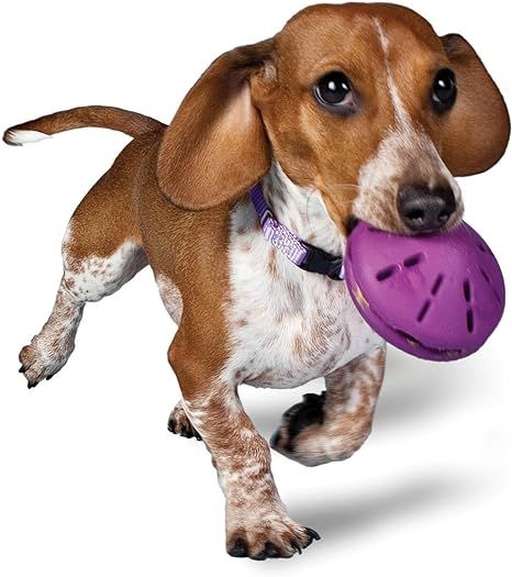 PetSafe Busy Buddy Twist 'n Treat, Treat Dispensing Dog Toy, X-Small, Small, Medium and Large Siz... | Amazon (US)