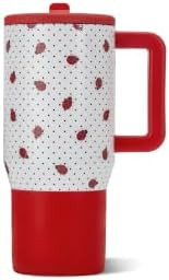 HydroJug Traveler 20oz Kids Insulated Tumbler with Handle, Ladybug | Amazon (US)