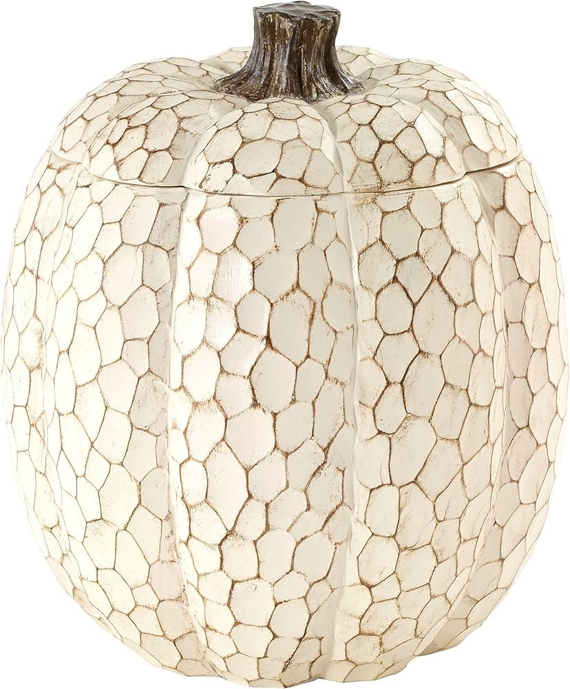 Avanti Linens - Covered Jar, Countertop Organizer, Fall Inspired Home Decor (Grateful Patch Colle... | Amazon (US)