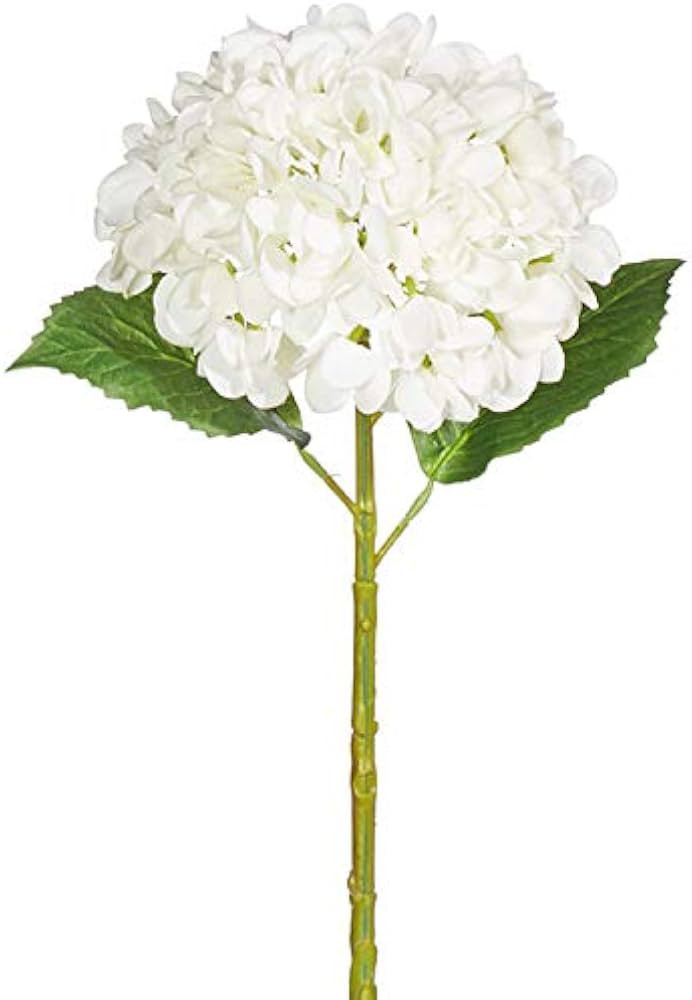 20 Inch Real Touch White Hydrangea Stem | Amazon (US)