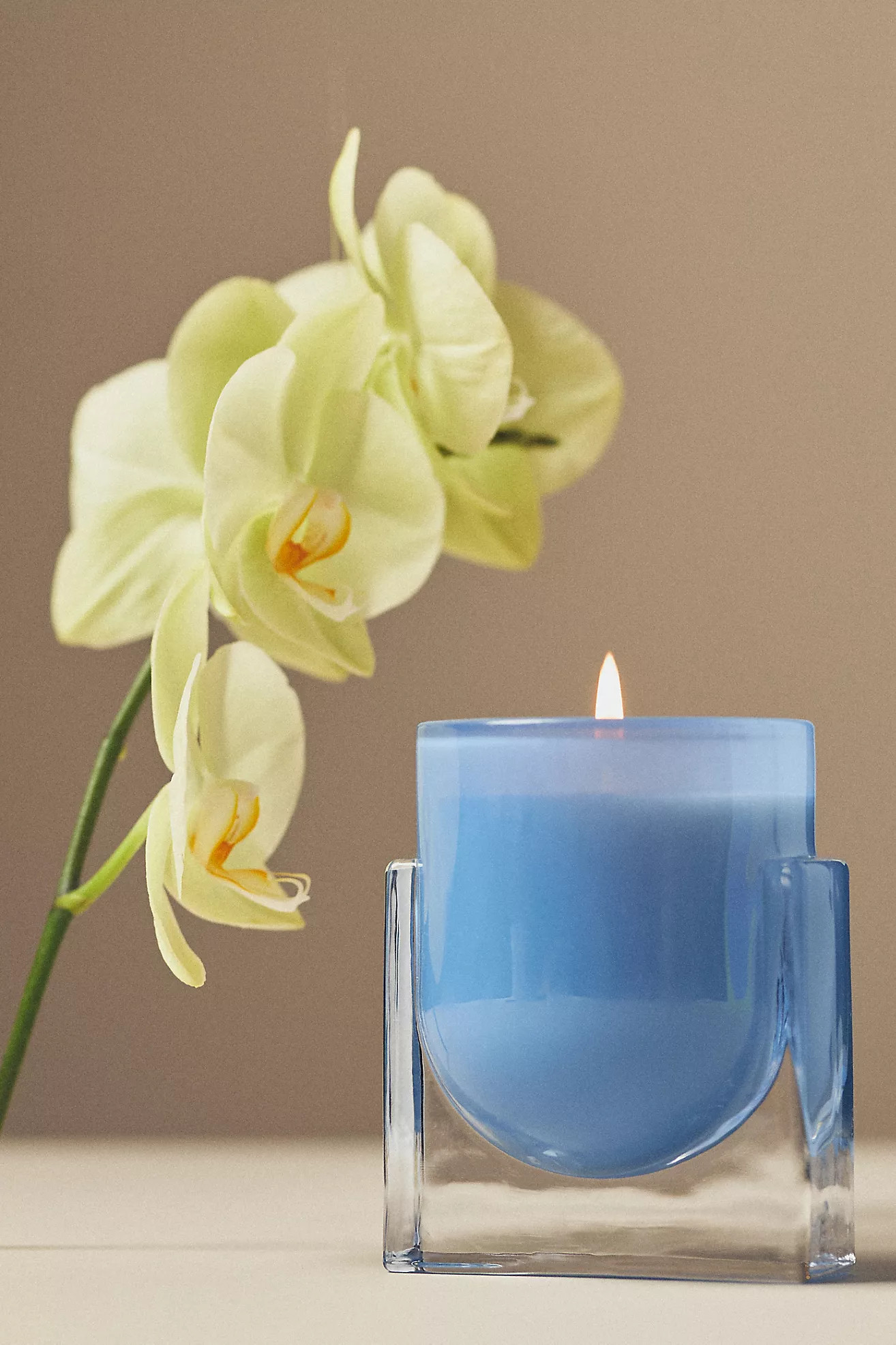 Found Notes Floral Yuzu & Neroli Candle | Anthropologie (US)