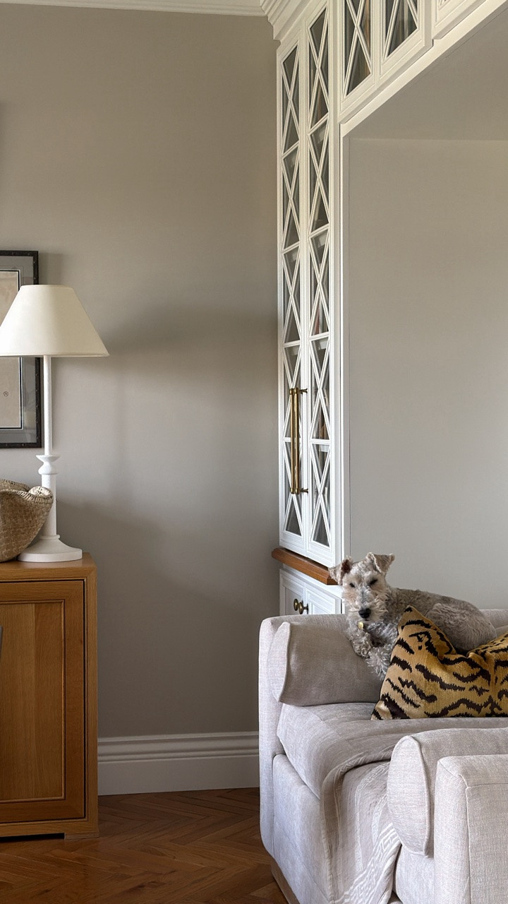 Guaranteed to cuddle up on the most expensive pillow in our house. Cash has an eye for Scalamandré fabric, apparently.

#LTKHome #LTKdayinmylife