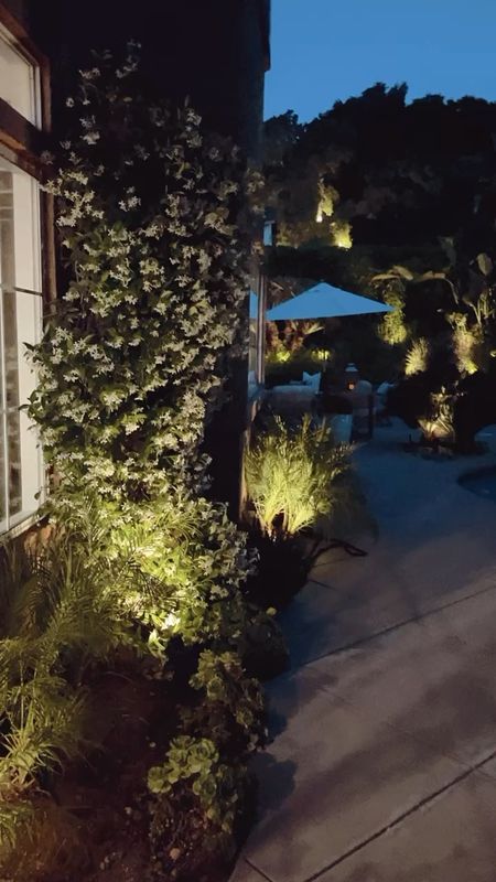My backyard outdoor lighting linked here. 

Outdoor lighting is so important for creating a cozy ambiance at night! 

#backyard #outdoor #lighting

#LTKSeasonal #LTKVideo #LTKHome