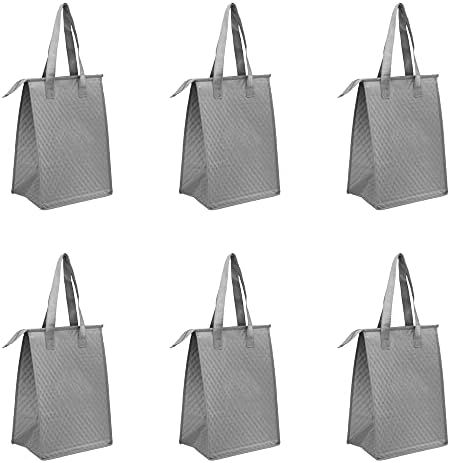 Zipper Insulated Lunch Tote Bags Set of 10, Bulk Pack - Perfect for Work, School, Travel, Outdoor... | Amazon (US)