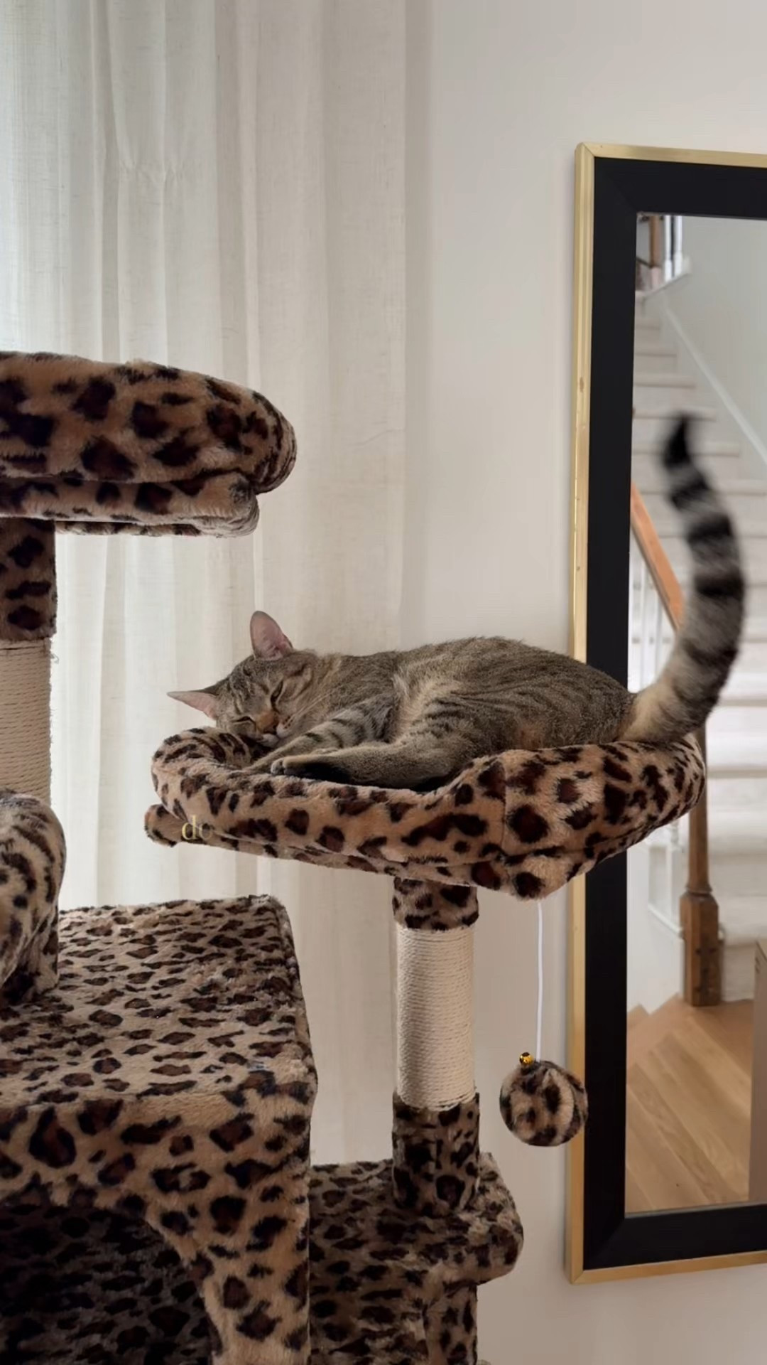It’s a true love affair between Pesto and his palace - but in all reality the house is completely his and I just live here #housetour #catsoftiktok #cattower #catlover 