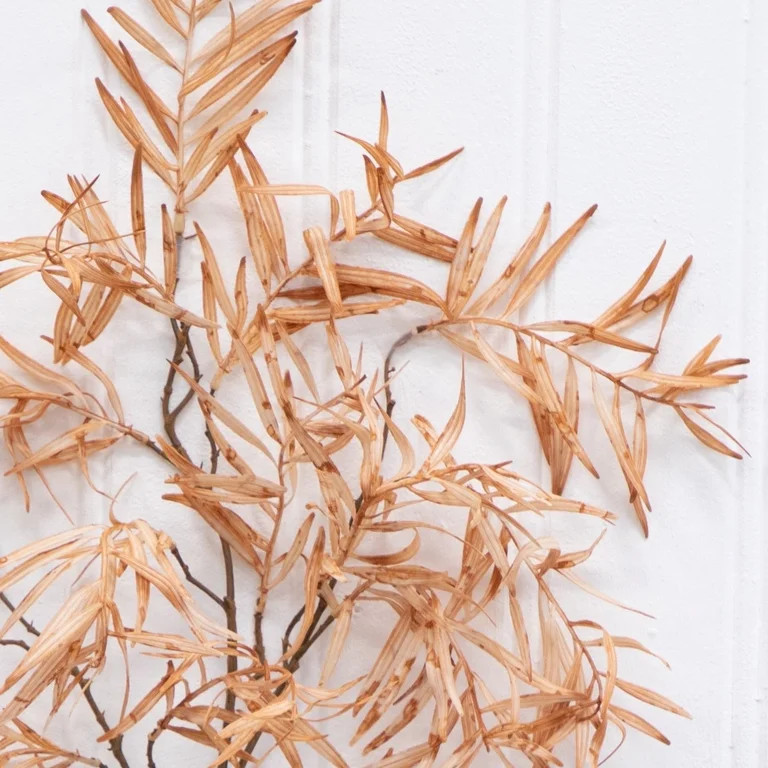 (2 pack) Better Homes & Gardens 34"H Artificial Indoor Dried Peach Fern Stem | Walmart (US)