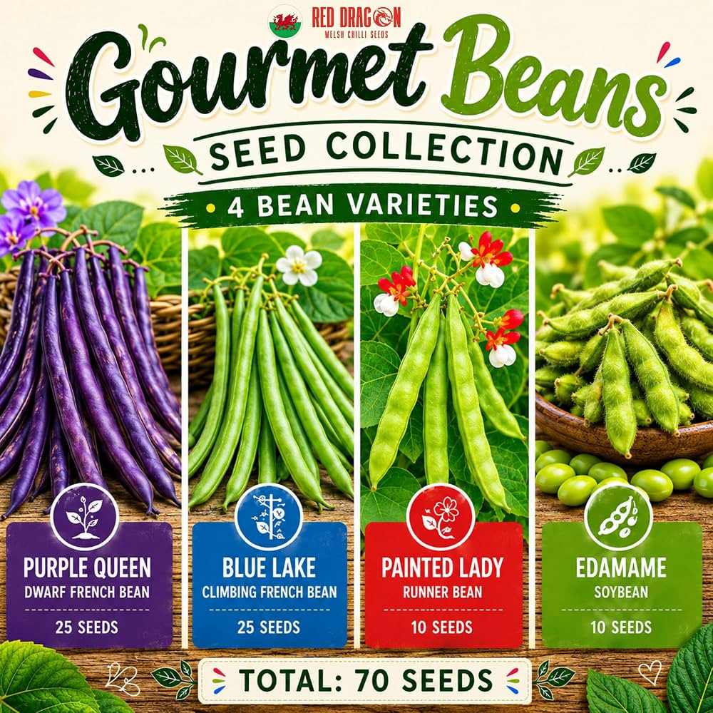 Red Dragon Seeds Gourmet Bean Collection \u2013 Purple Queen, Blue Lake, Painted Lady & Edamame \... | Amazon (UK)