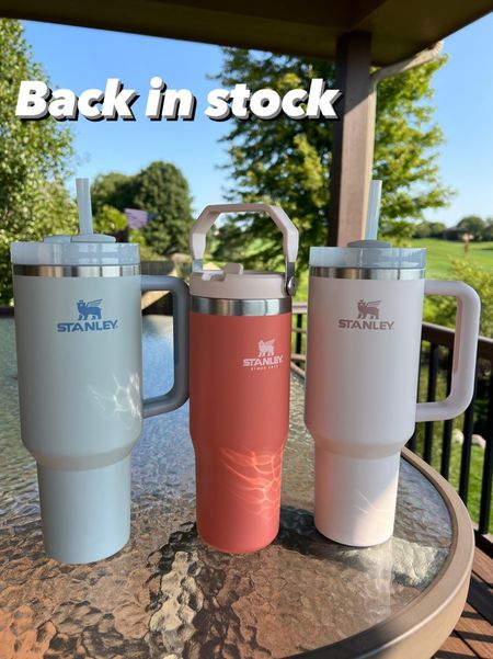 Stanley Cups back in stock now but selling out fast - pictured here is the 40oz quencher in fog and rose and the flip straw in 30 oz 

#LTKfit #LTKfamily #LTKGiftGuide