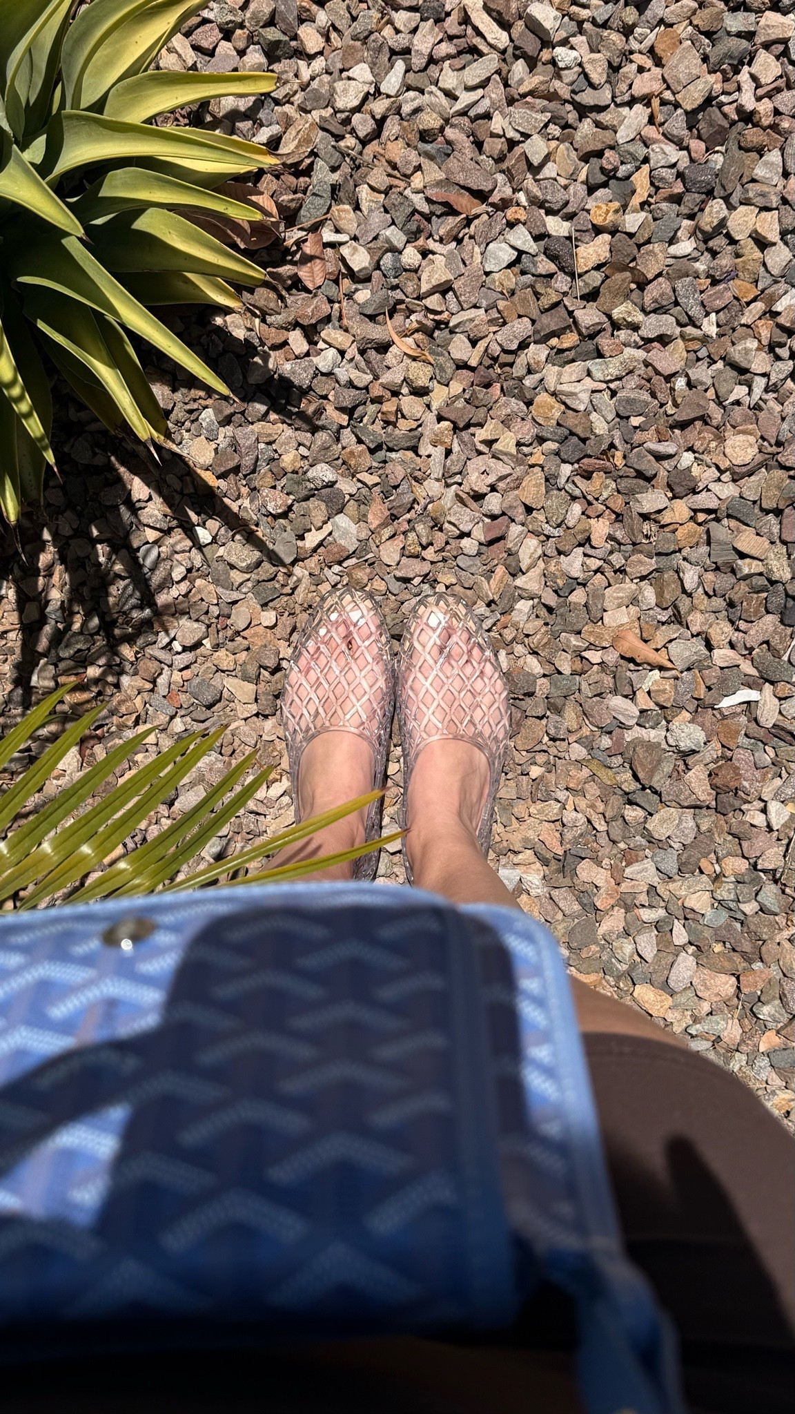 These jelly flats are giving full Cinderella moment and I am NOT sorry about it ✨ The Heva jelly flats have that clear diamond lattice design that makes them look way more expensive than they are — like, people will ask where you got them and be shocked at the price. They’re cute enough to wear to brunch, a rooftop, vacation, wherever. Comfortable, waterproof, and the most fun shoe you’ll add to your rotation this summer.

#jellyflats #hevaflats #jellyshoes #summershoes #clearshoes #cinderellavibes #vacationshoes #summerfootwear #affordablefashion #ltkshoes #ltksummer #ltkvacation #ltkfinds #ltkunder50 #shoesofltk
