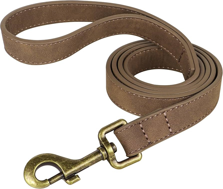 Didog Leather Dog Leash, Colorful Heavy Duty Dog Leash 4ft, Strong and Durable Leather Lead, Walk... | Amazon (US)