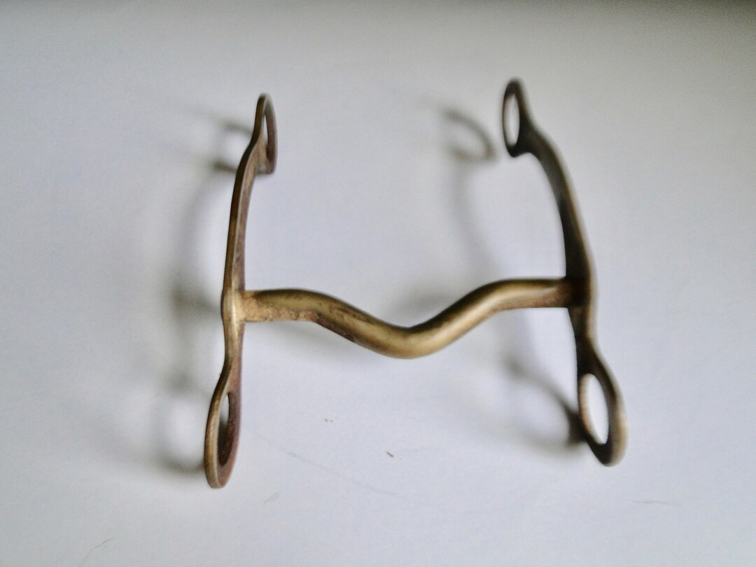 Old Rusty Curb Horse Bit / Western Decor / Cabin Decor / Horse Tack - Etsy | Etsy (US)