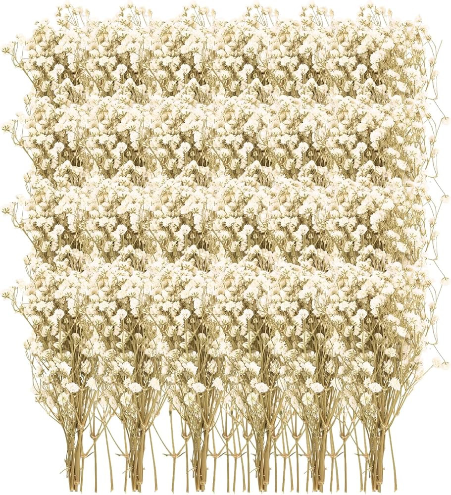 50 Pieces Dried Babys Breath Flower Mini Dry Flowers Bouquet 3D Stereo Primary Colours Baby Breat... | Amazon (US)