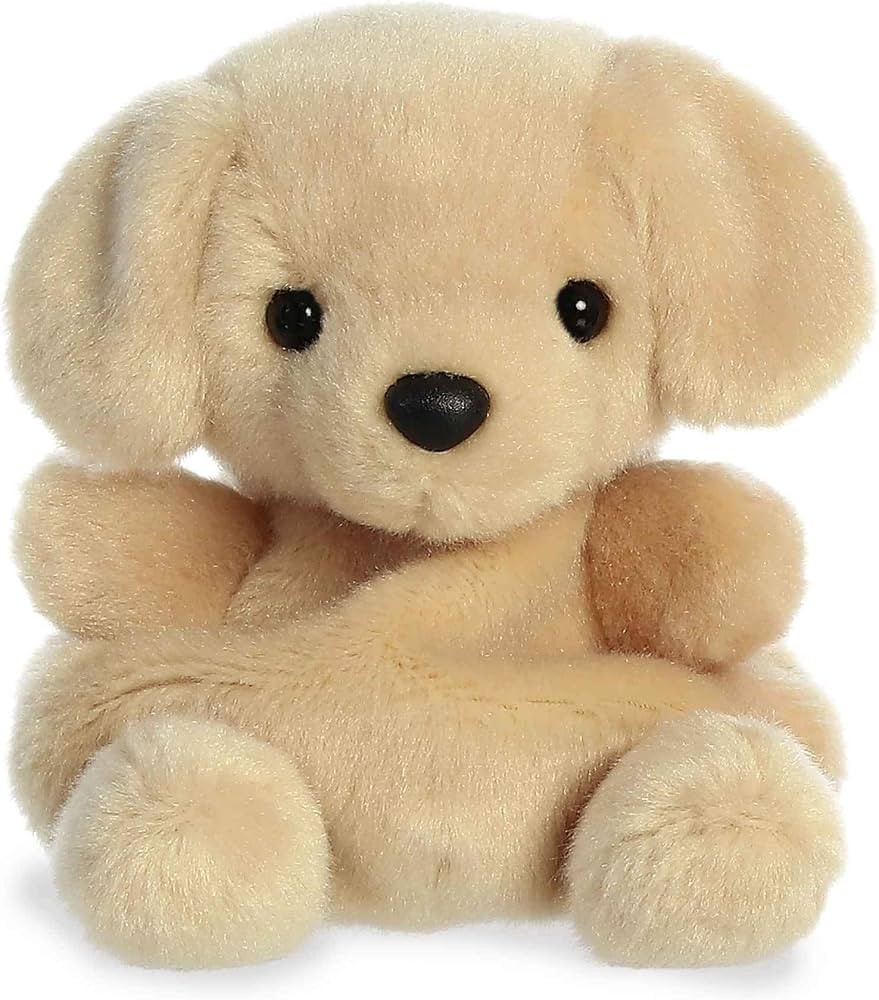Aurora\u00ae Adorable Palm Pals\u2122 Sunny Lab\u2122 Stuffed Animal - Pocket-Sized Play - Collec... | Amazon (US)