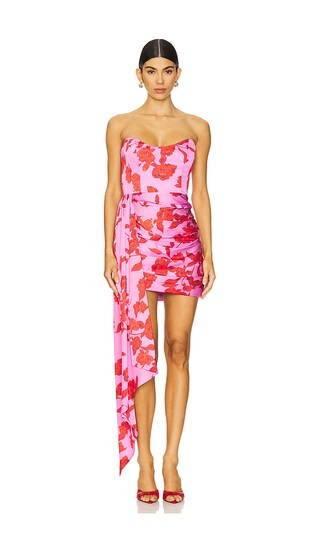 Chasing Dawn Dress in Spicy Pink Floral | Revolve Clothing (Global)