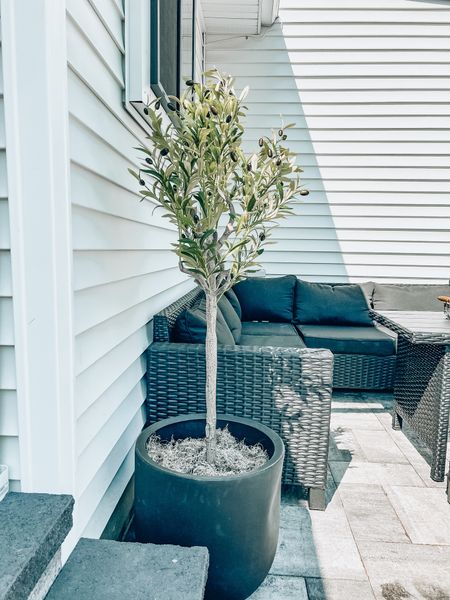 Inexpensive olive tree from Walmart so I don’t worry about a pricey one outdoors🖤 

#LTKstyletip #LTKhome #LTKunder100