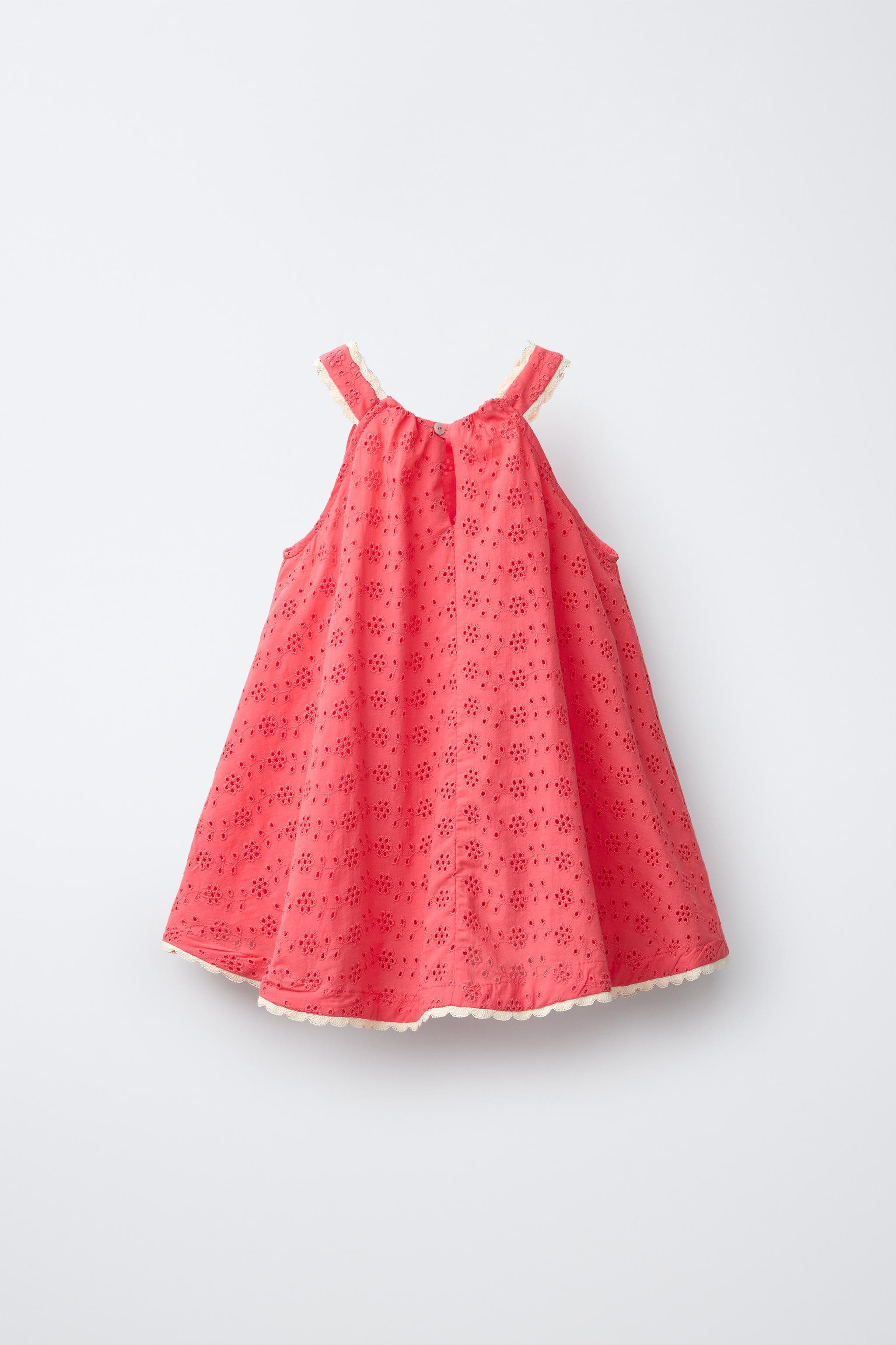 SHIFFLY EMBROIDERED LACE DRESS | Zara US