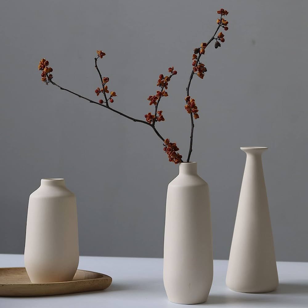 Abbittar Ceramic Vase Set of 3, Minimalistic Style Flower Vases for Rustic Home Decor, Modern Far... | Amazon (US)