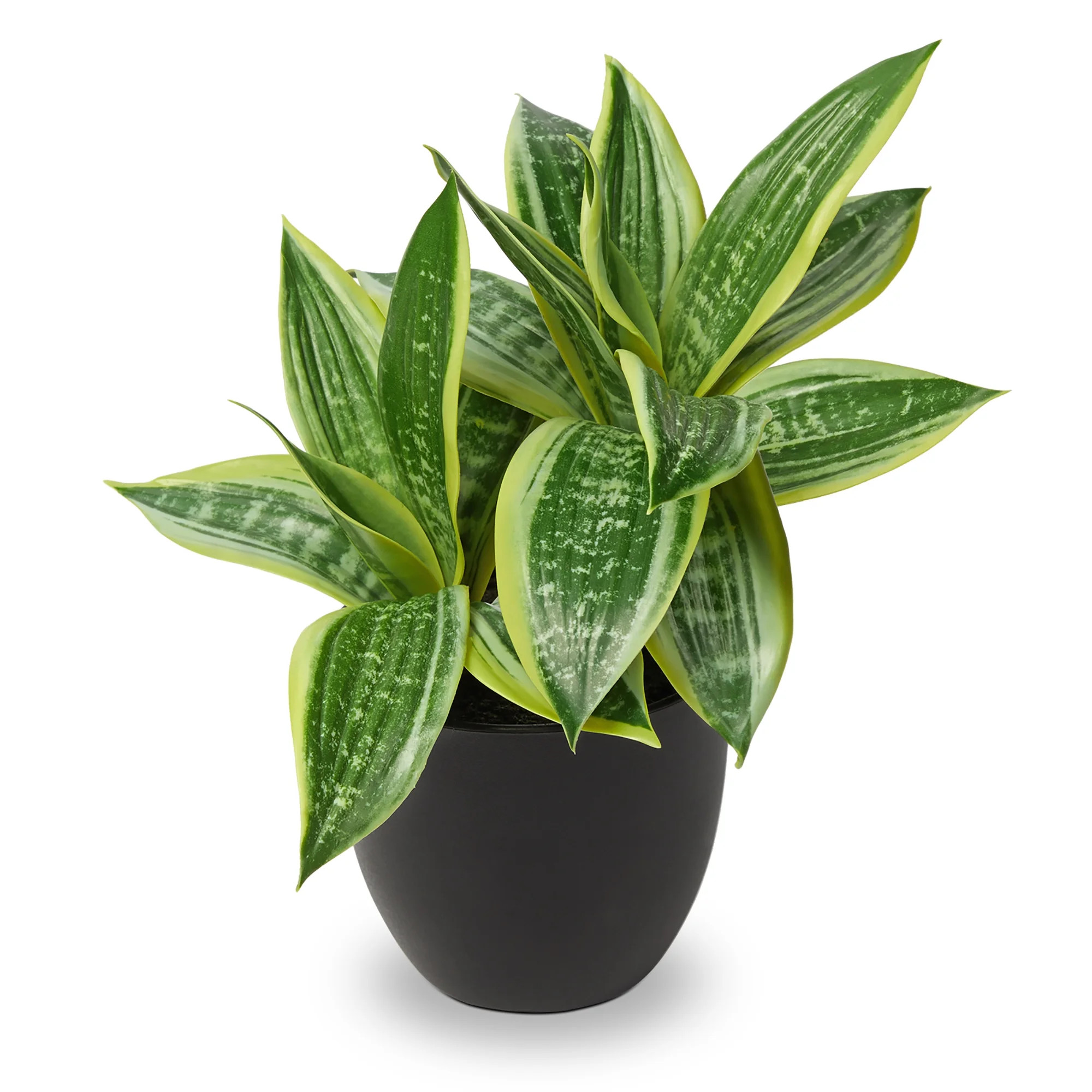 11 Inch Artificial Snake Plants in Pots Fake Tropical Sansevieria Small Potted Plants Desk Table ... | Walmart (US)