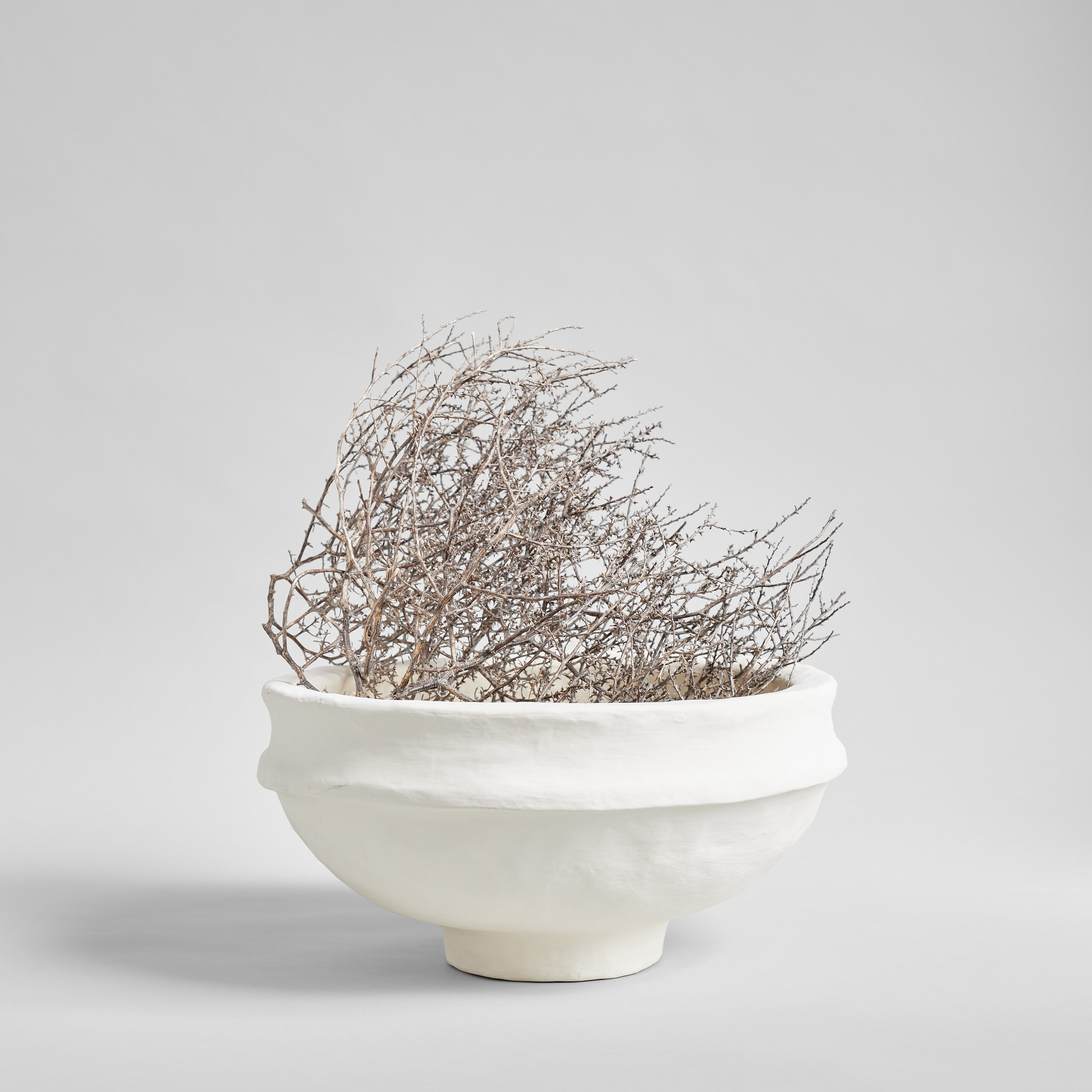 Dried Tumbleweed | Bloomist