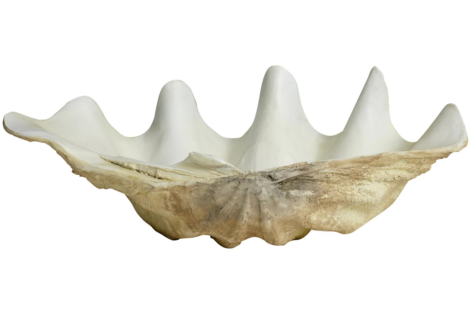 KICHI Large White Deco Shell | Burke Decor