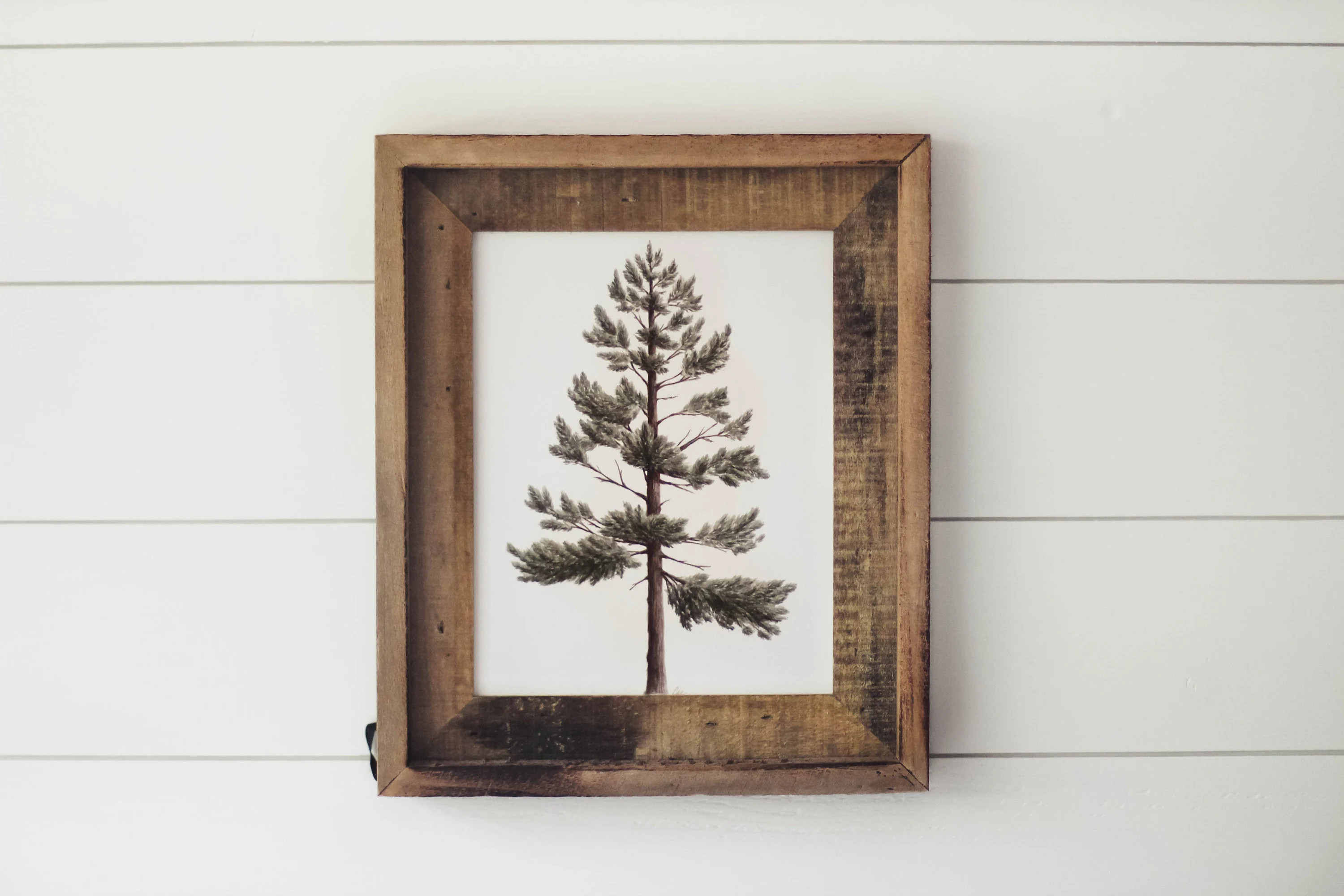 Lodgepole Pine Print - Watercolor Pine Tree,  Watercolor Print, Mountain Decor, Minimalist Decor, Greenery, Cabin, Art Print | Etsy (Global)