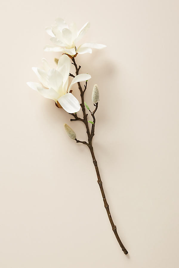 Magnolia Stem - White | Anthropologie (UK)