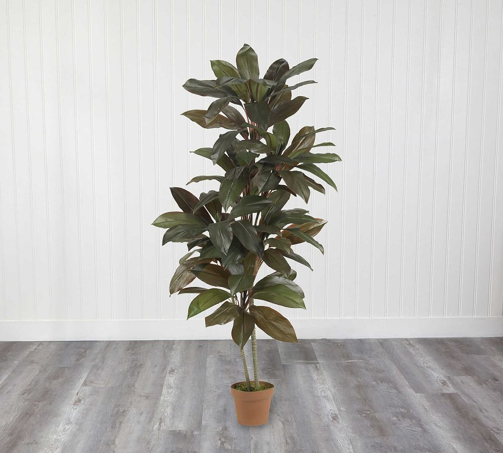 Faux Cordyline Plant | Pottery Barn (US)
