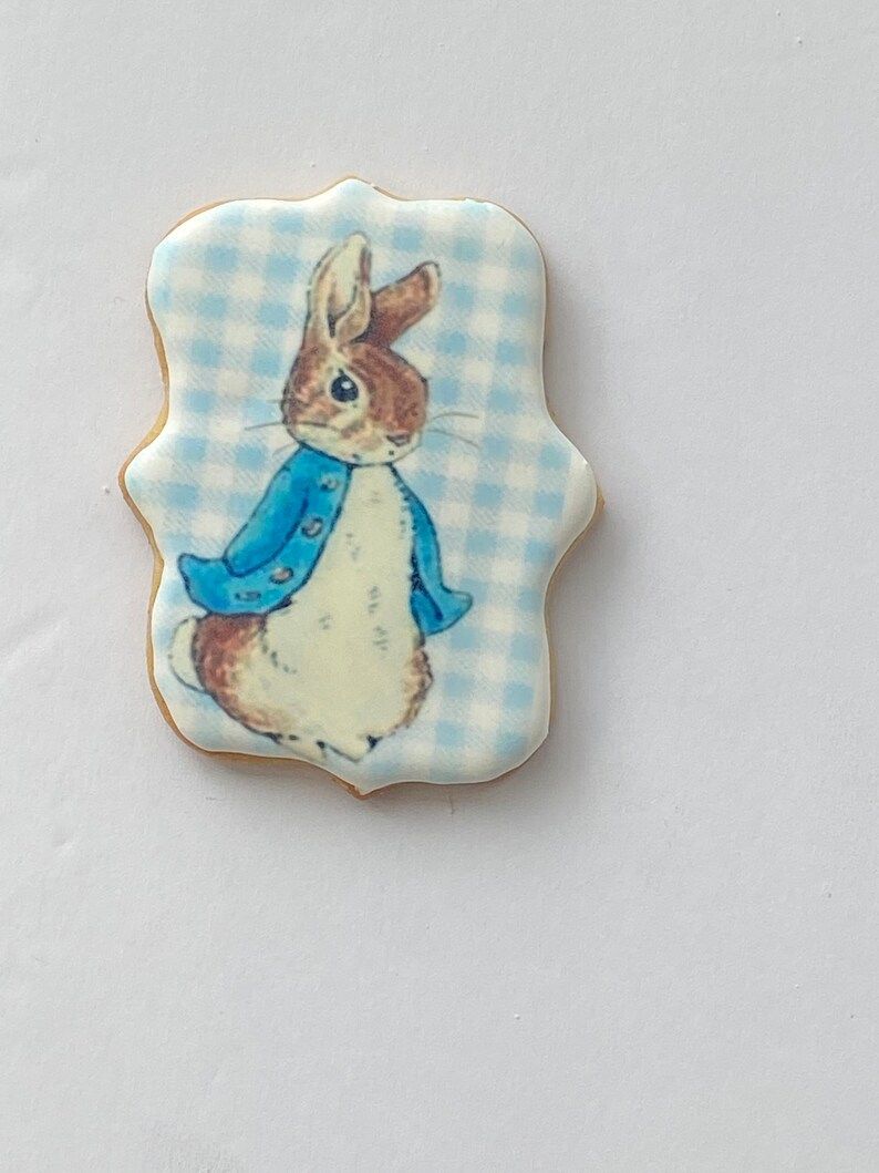 Peter Rabbit & Friends Cookies - Etsy | Etsy (US)