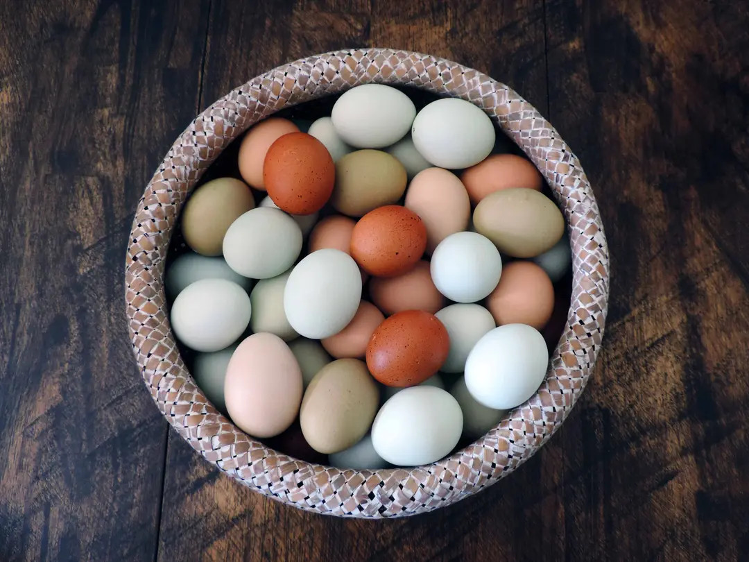 Hand Blown Easter Eggs | Medium Mix | Farmhouse Kitchen Home Decor, Pysanky, Real Natural Blown O... | Etsy (US)