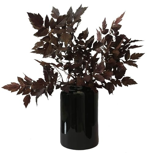 Anyumir Artificial Cimicifuga Plant Leaf Spray, Faux Plum Cimicifuga Ramosa Leaf Branch,Fake Fall Leaves, Artificial Leave, Faux Fall Spray for Christmas Ornaments Vase Wedding Garden(3 Pack,21 Inch) | Amazon (US)