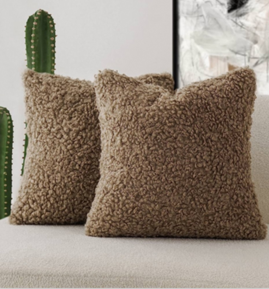 I really love this 2 Pieces Teddy Faux Fur Throw Pillow Cover Decorative 

#LTKhome #LTKHolidaySale #LTKSeasonal