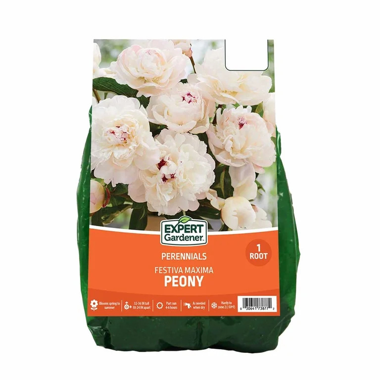 Expert Gardener Peony Festiva Maxima Bare Root Plant, Partial Sun, White, Perennial | Walmart (US)