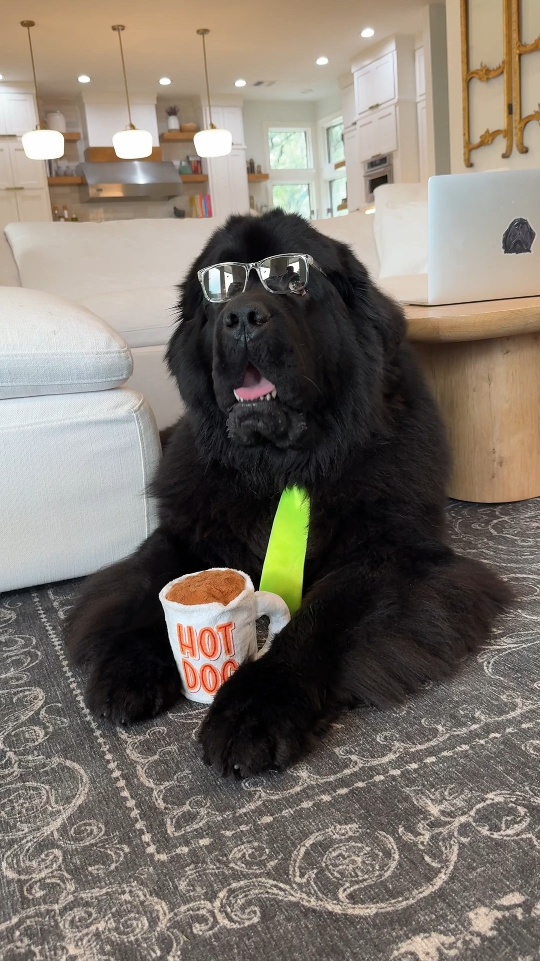 This Hot Dog is now a @Barkbox Co-owner just like your dog can be! Because all dogs are Bark Co-Owners! And can apply to be their first Chair Dog! Shop Kuzco’s favorite toys and treats this month #BarkPartner #BarkCoOwned #ShopDog #Ad 

#LTKPets