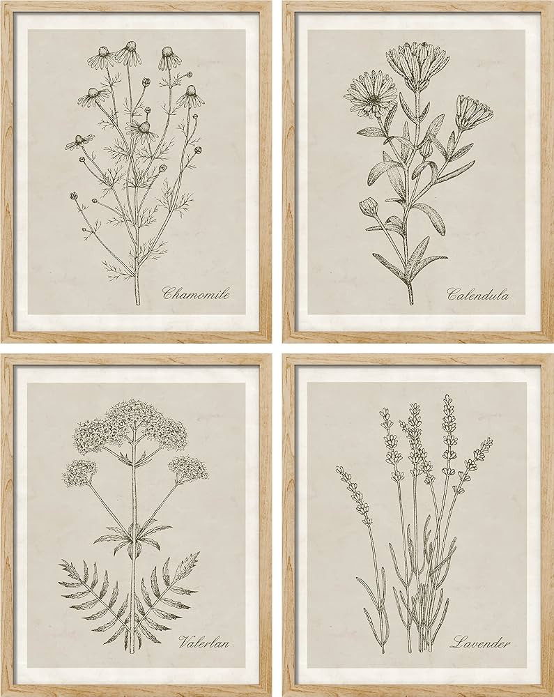 SIGNWIN Framed Vintage Classic Wildflower Wall Art, Set of 4 Plant Collage Wall Decor Prints, Nat... | Amazon (US)