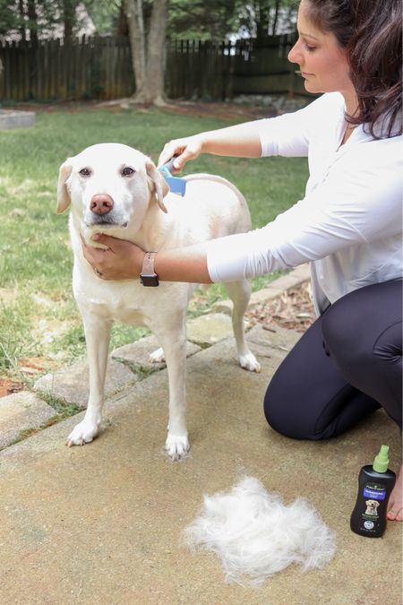 Shedding Season is upon us - Furminator deShedding tool and spray are essentials for both of our labs!

Dog shedding / dog products / dog brush / dog shampoo / pet products / pet favorites 

#LTKhome #LTKSeasonal