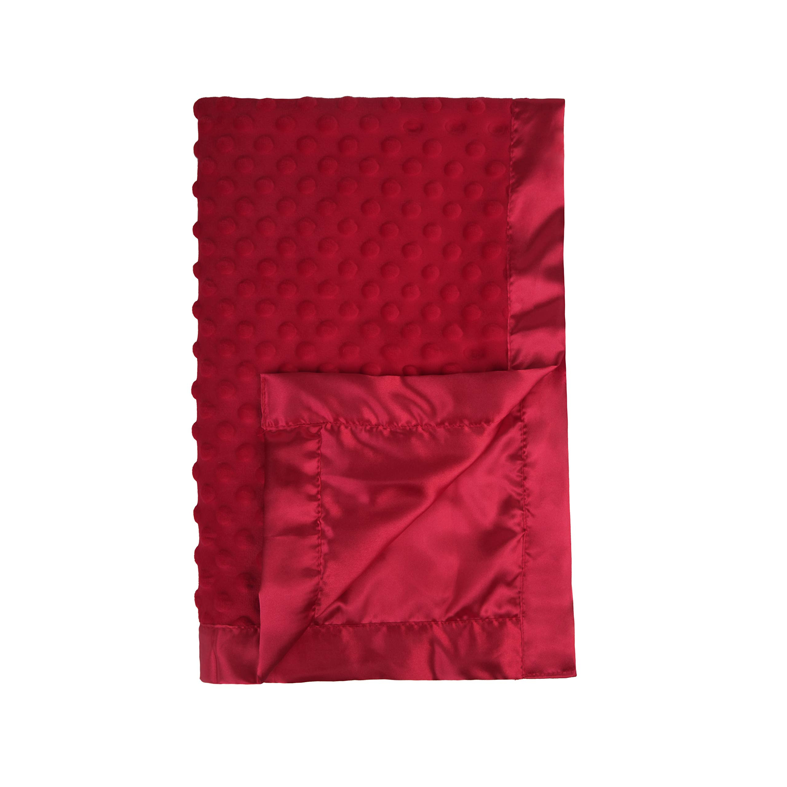 Pro Goleem Baby Soft Minky Dot Blanket with Silky Satin Backing Baby Gifts for Boys and Girls (Re... | Amazon (US)