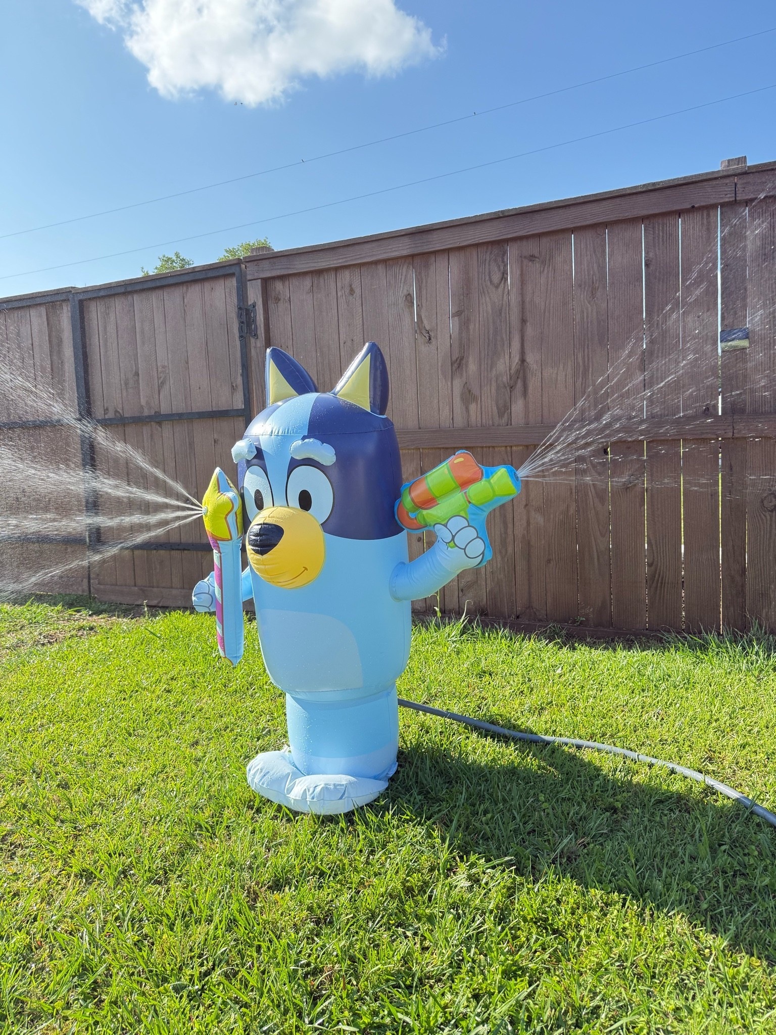 NEW! BLUEY Sprinkler for Kids, 48” Inflatable Water Sprinkler Toy for Summer Outdoor Fun, Lawn Sprinkler Toy and Bluey Party Decoration for Kids

#LTKdayinmylife