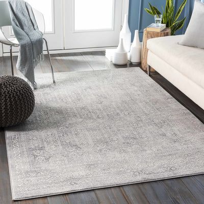 Michie Gray Area Rug | Boutique Rugs