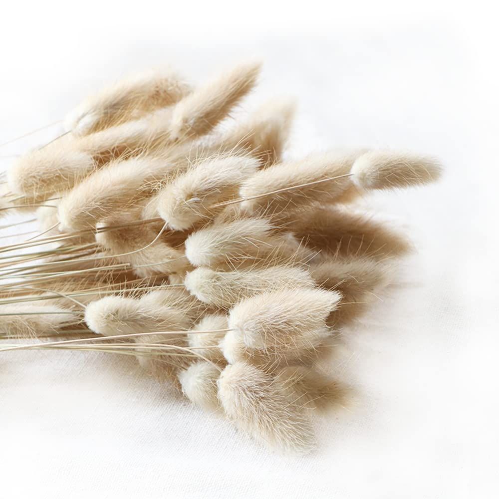 Natural Dried Lagurus ovatus 100 Pcs, Boho Home Decor Bouquet, Dried Bunny Tails Pampas for Dried... | Amazon (CA)