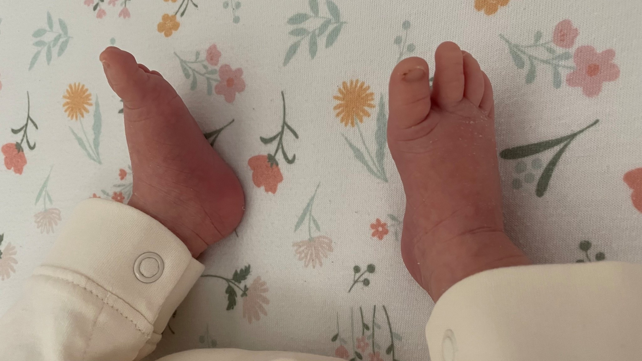 The best way to trim baby’s nails!



#LTKBeauty #LTKBaby #LTKBump