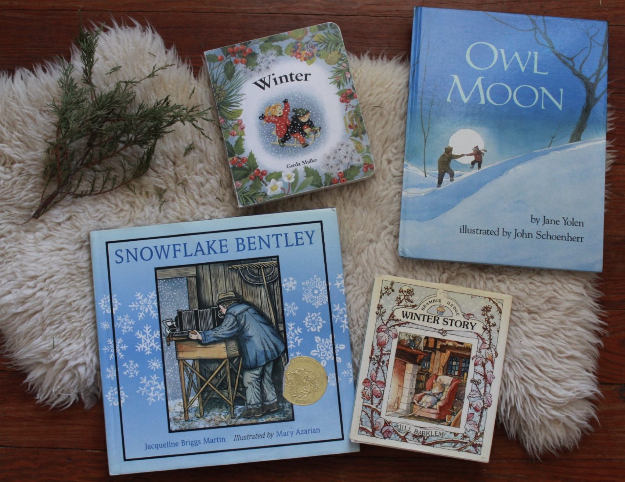 Winter Picture Books

#LTKHoliday #LTKGiftGuide #LTKKids