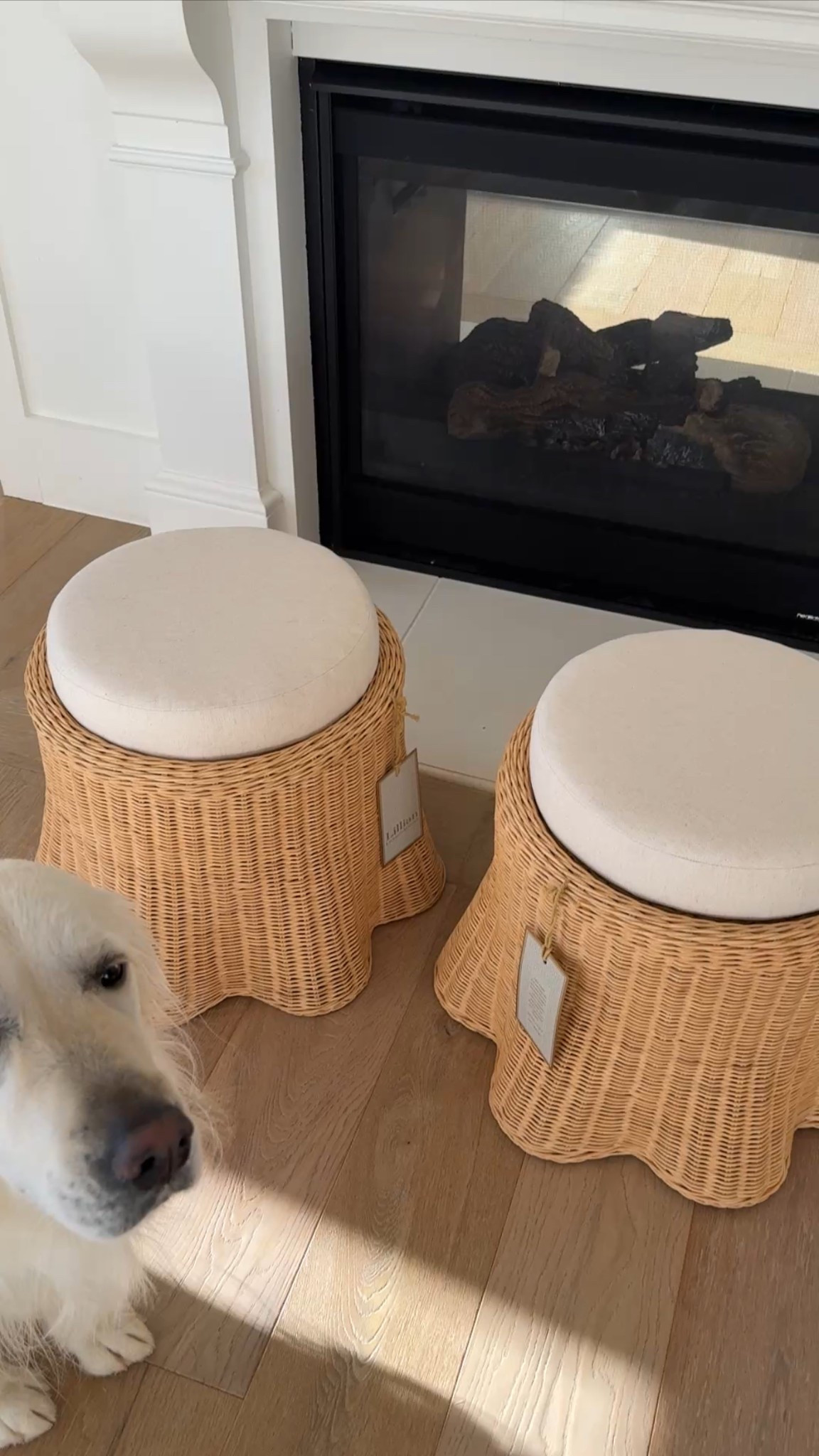 #LTKSaleAlert #LTKHome